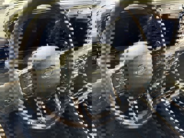 New 2025 Ford F250 Platinum image 18