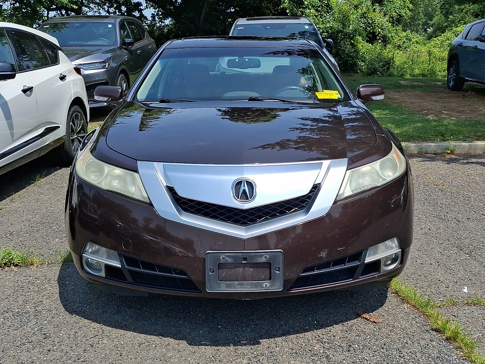 Used 2011 Acura TL SH-AWD image 2