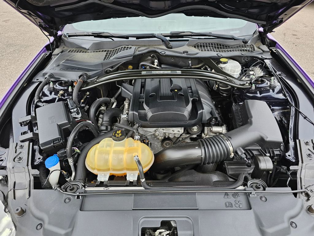 Used 2021 Ford Mustang Coupe w/ 2.3L High Performance Package RWD image 61