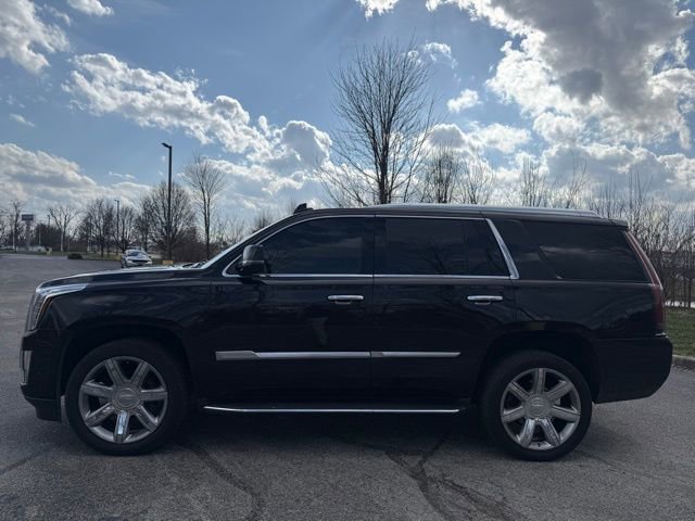 Used 2019 Cadillac Escalade Luxury AWD/4WD image 5