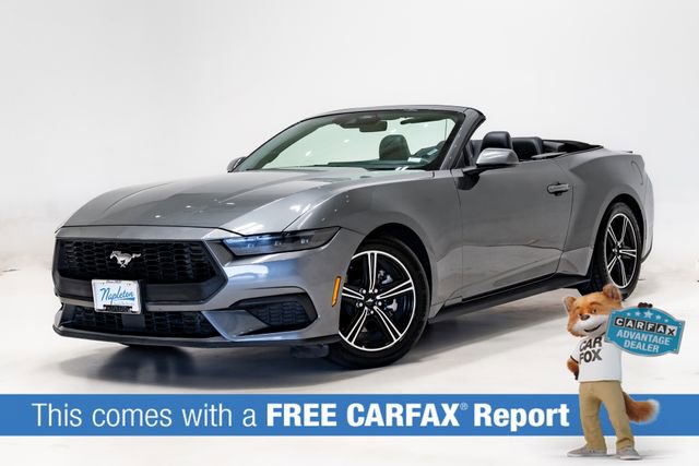 Used 2025 Ford Mustang Premium video 2