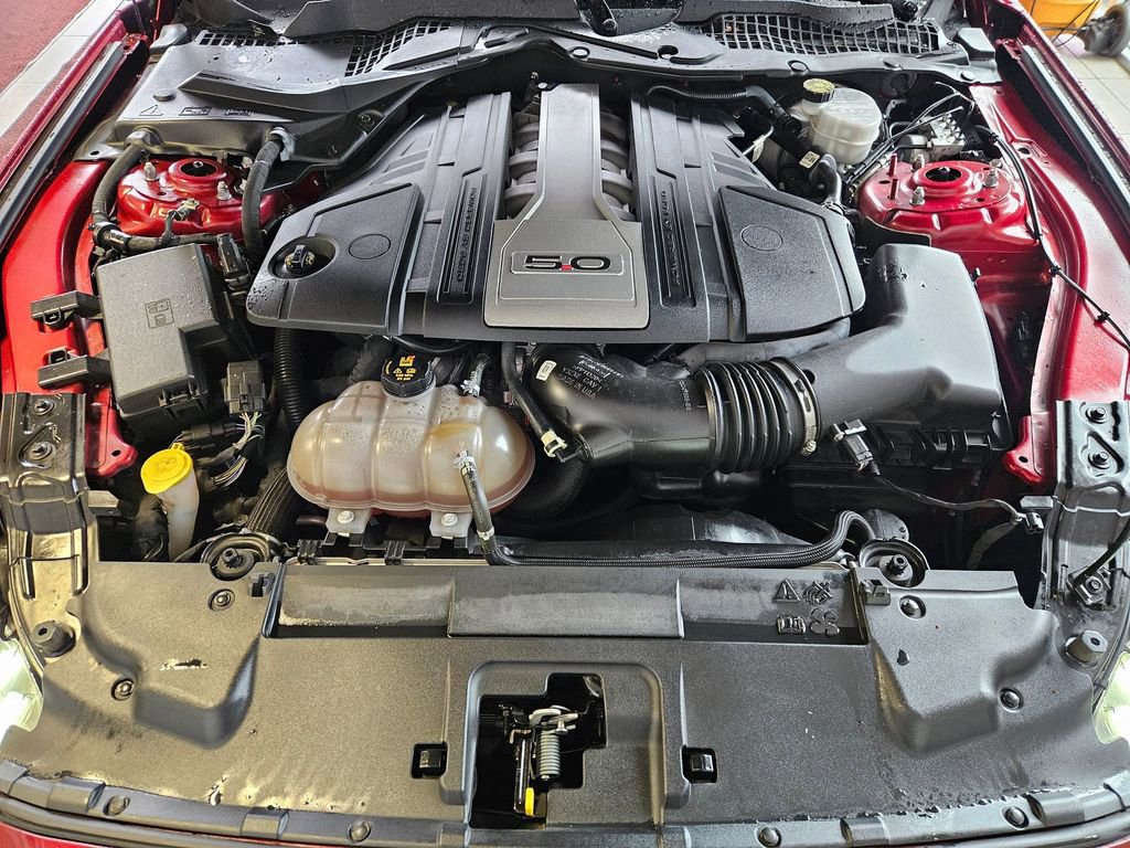 Used 2019 Ford Mustang GT RWD image 32