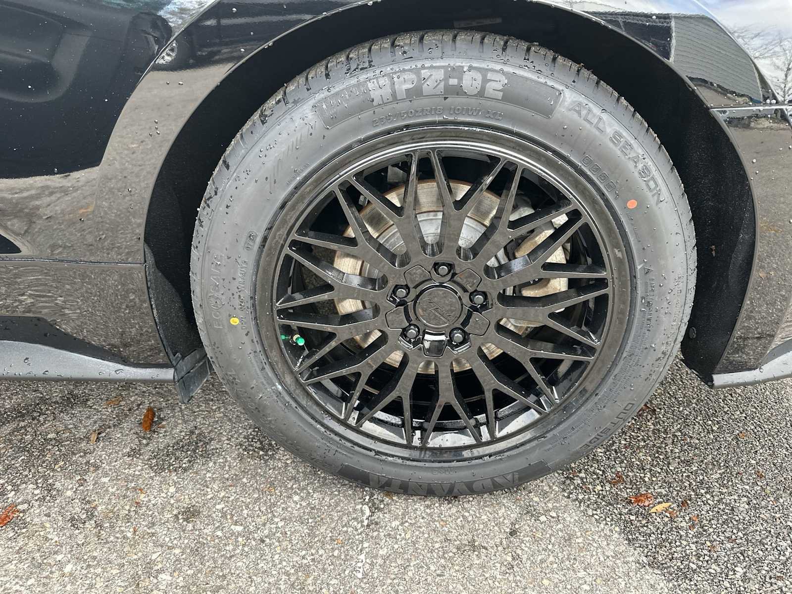 Used 2017 Ford Mustang Premium image 12