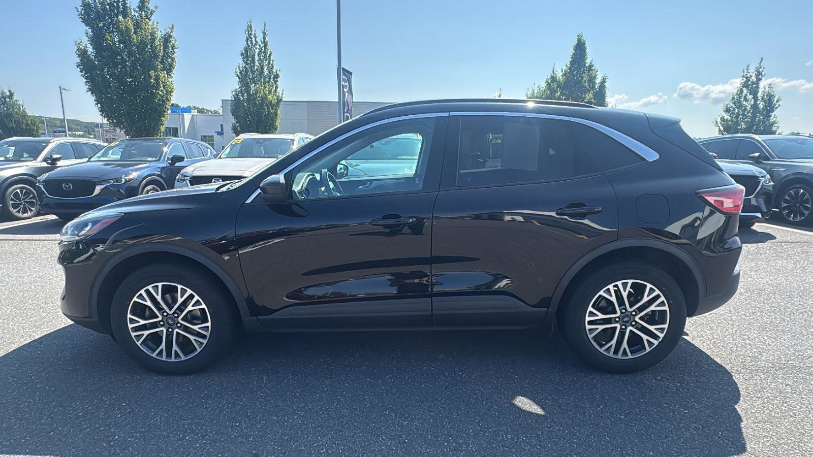 Used 2020 Ford Escape SEL image 4