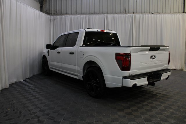 New 2025 Ford F150 STX w/ LOBO Package image 22