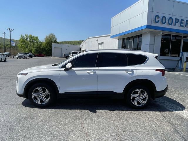 Used 2023 Hyundai Santa Fe SEL FWD image 2