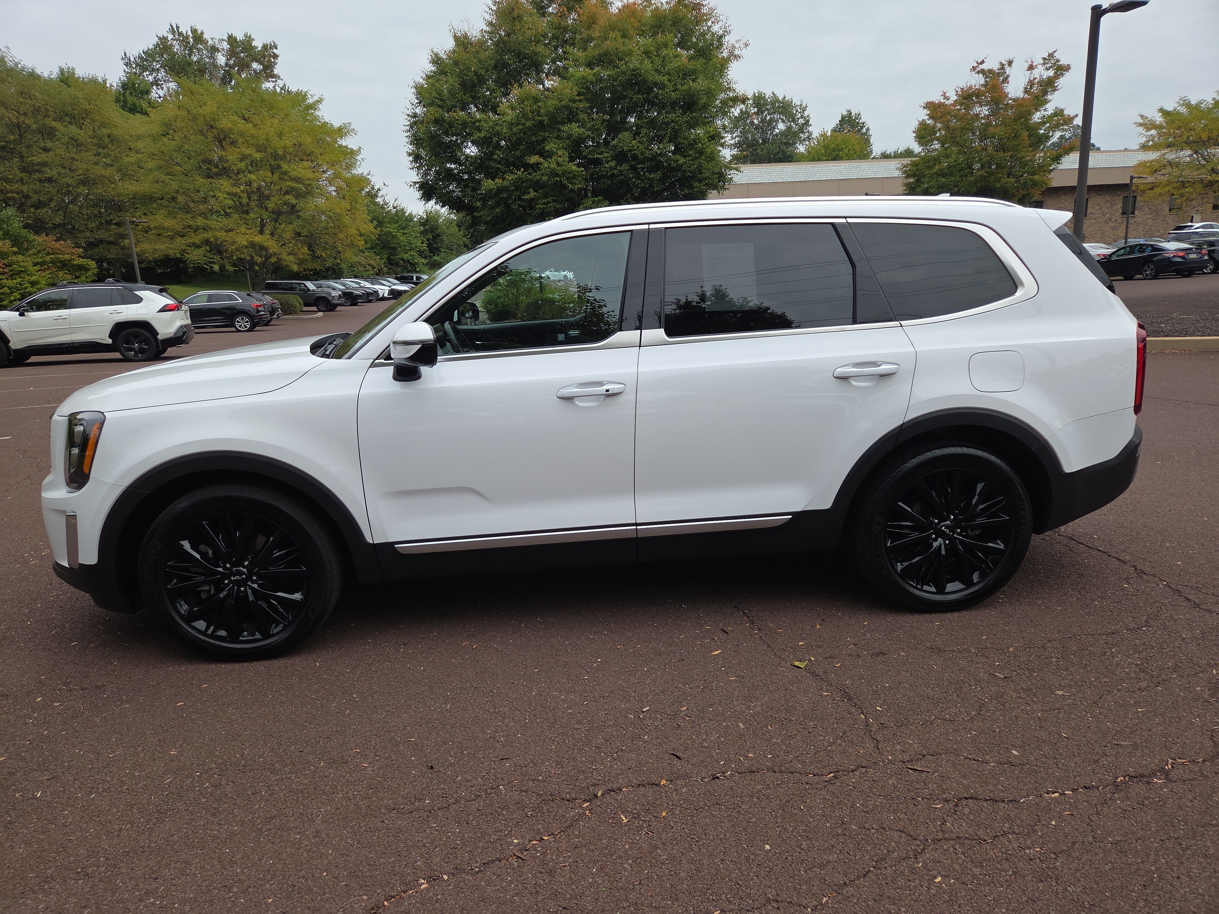 Used 2022 Kia Telluride SX w/ SX Prestige Package AWD/4WD image 6