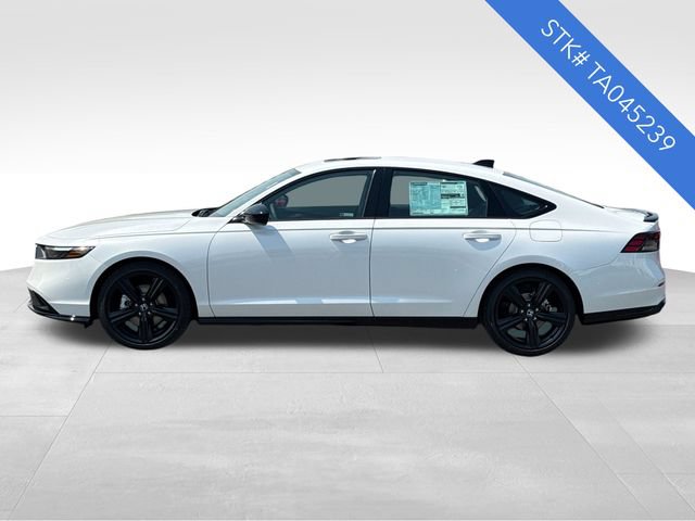 New 2026 Honda Accord Sport image 4