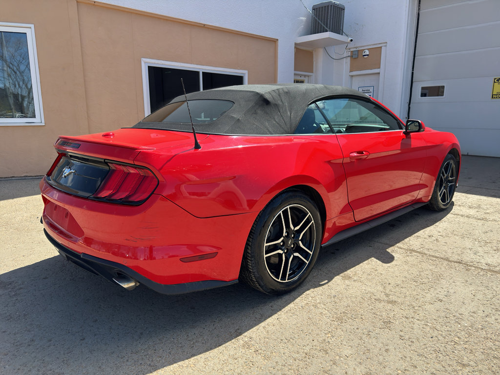 Used 2019 Ford Mustang Premium RWD image 4