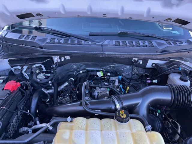 Used 2019 Ford F150 XL w/ Equipment Group 101A Mid image 21