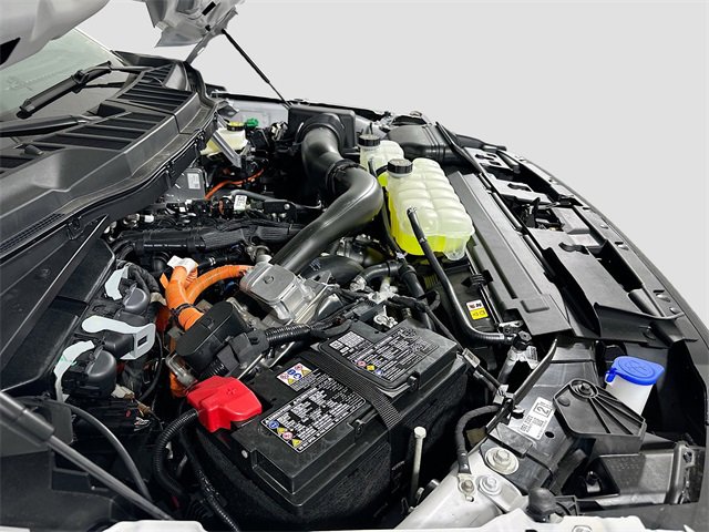 New 2025 Ford F150 XLT w/ Equipment Group 302A MID image 19