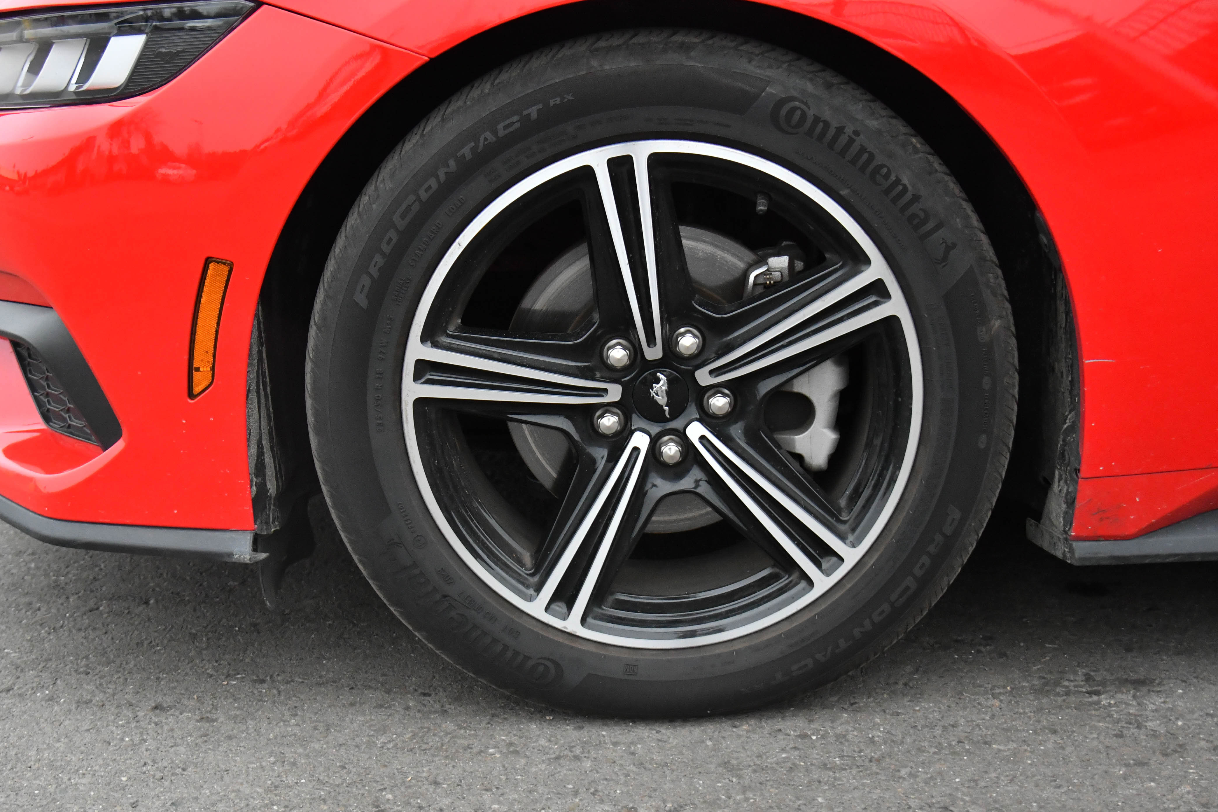 Used 2024 Ford Mustang Premium image 12