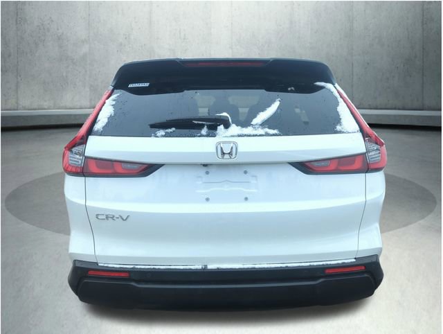 Used 2023 Honda CR-V EX-L image 4