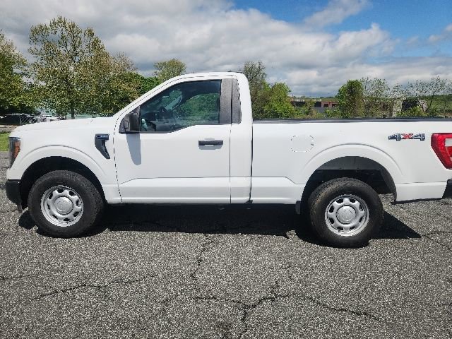 Used 2023 Ford F150 XL AWD/4WD image 4