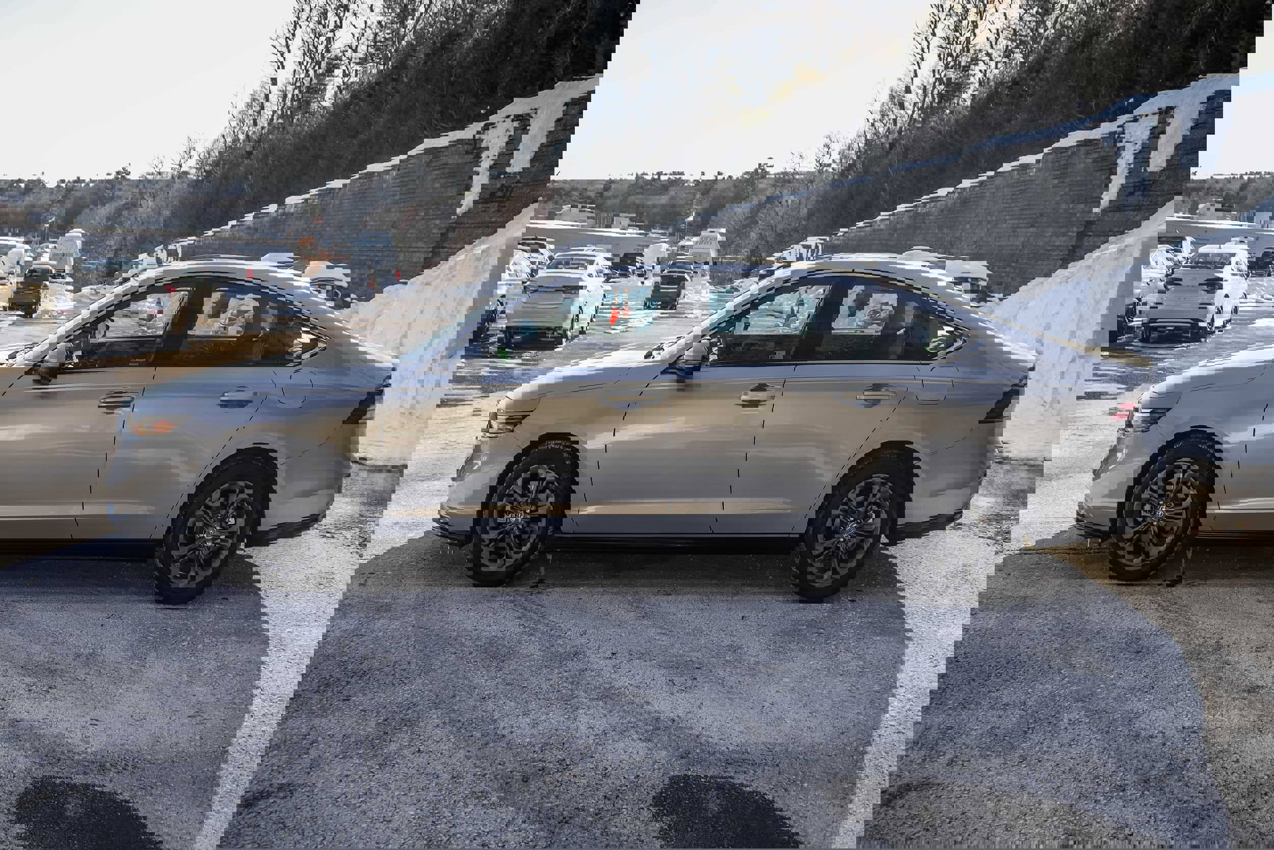 Used 2024 Honda Accord EX-L image 8