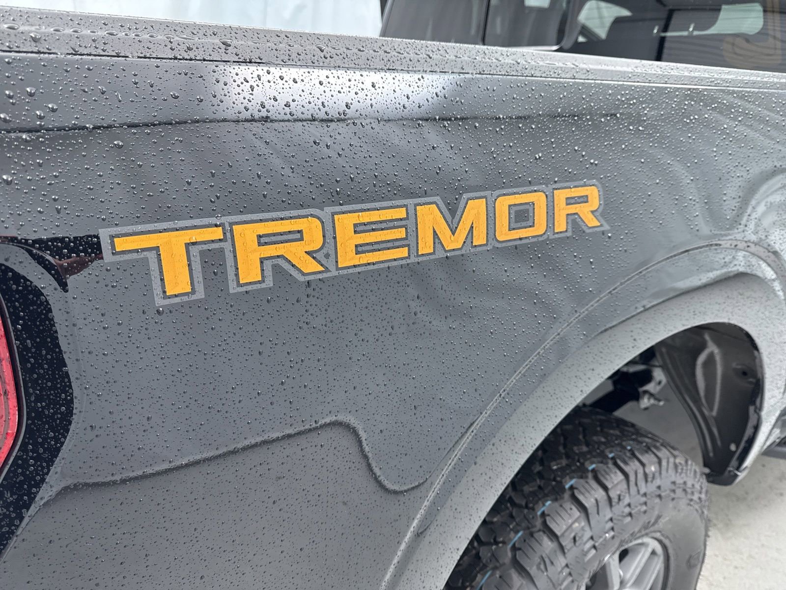 New 2025 Ford F150 Tremor image 54