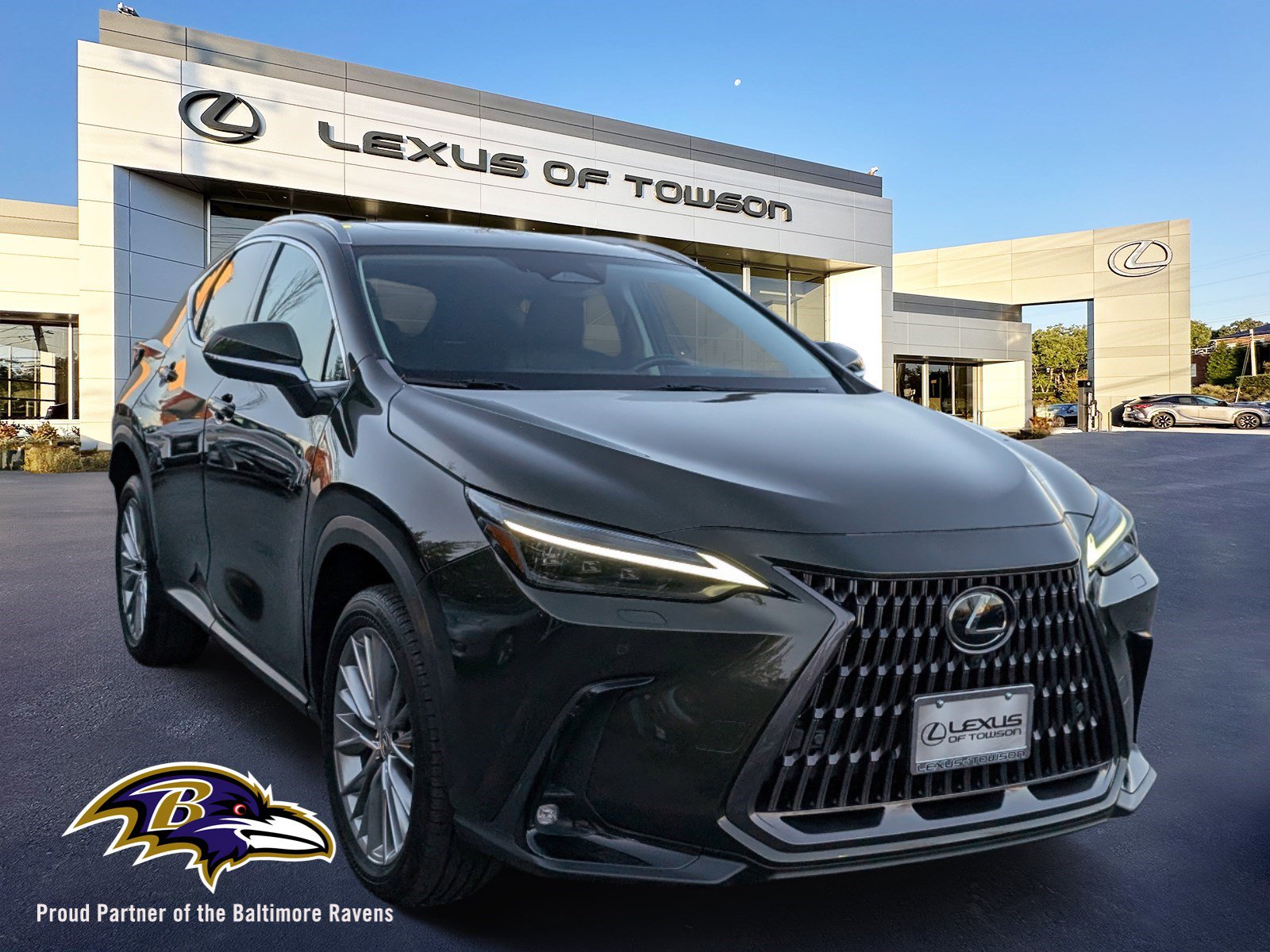 Certified 2024 Lexus NX 350 350 Luxury w/ Vision Package video 1