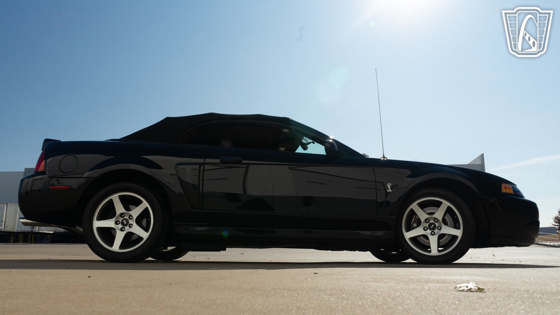 Used 2003 Ford Mustang Cobra image 19