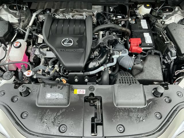 Used 2025 Lexus NX 350 AWD w/ Cold Area Package image 18