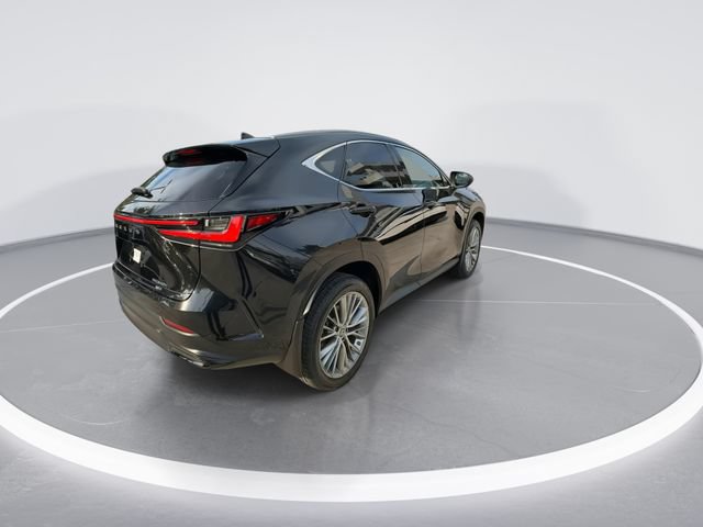 Certified 2023 Lexus NX 350h AWD image 8