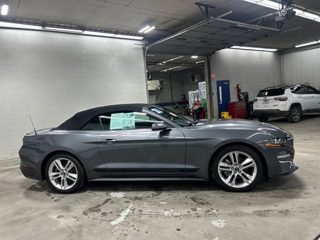 Used 2021 Ford Mustang Premium image 1