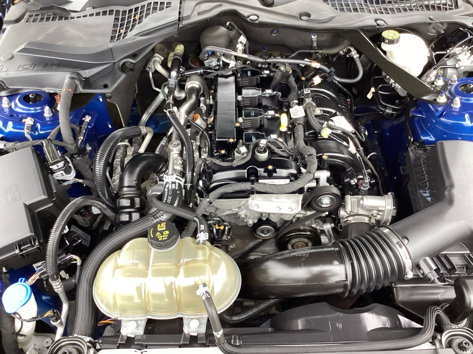 Used 2023 Ford Mustang Premium image 32