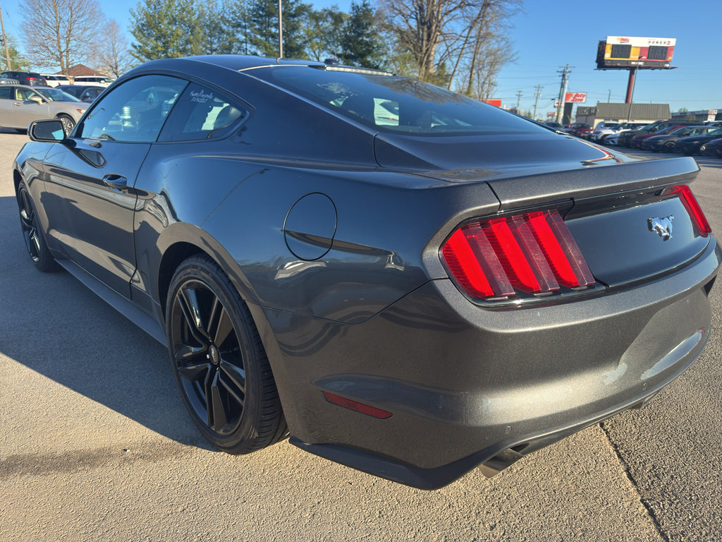 Used 2017 Ford Mustang Premium w/ Ecoboost Performance Package image 5