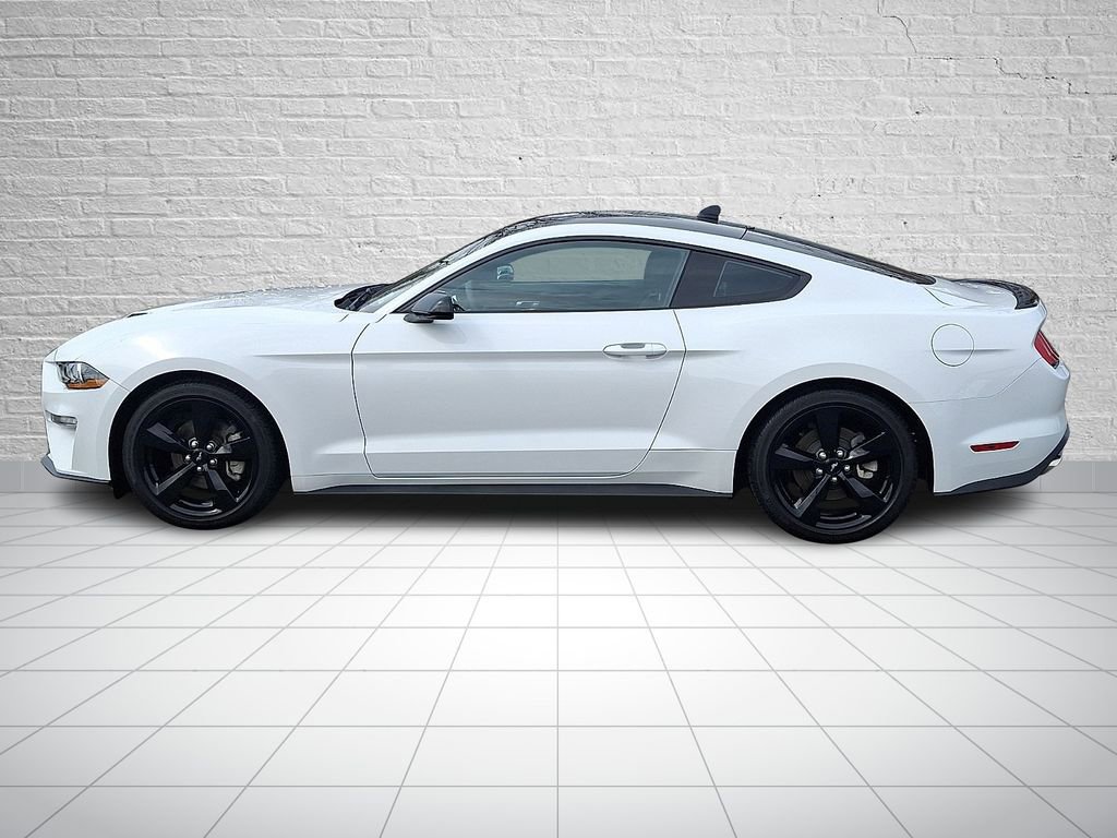 Used 2023 Ford Mustang EcoBoost w/ Mustang Nite Pony Package image 7