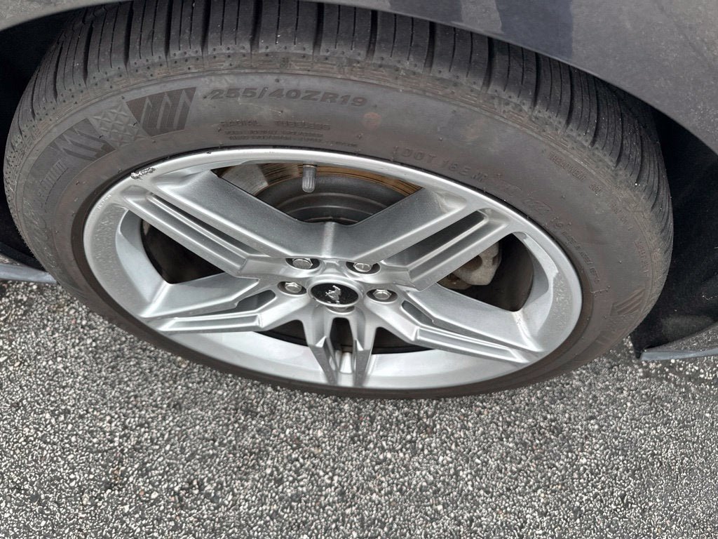 Certified 2019 Ford Mustang Convertible RWD image 8