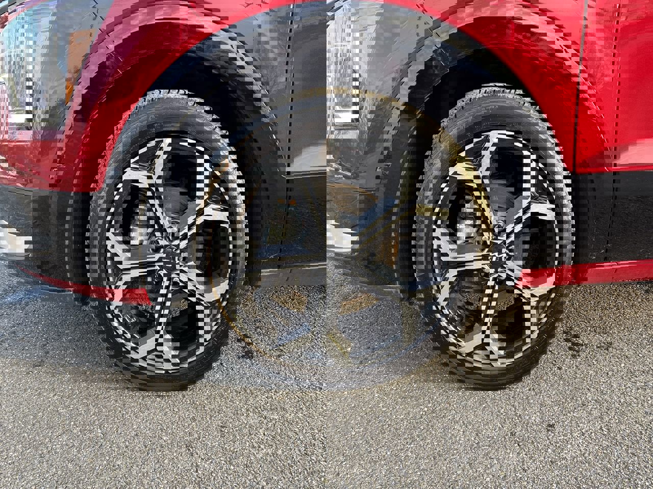 Used 2023 Kia Niro EX Touring image 10