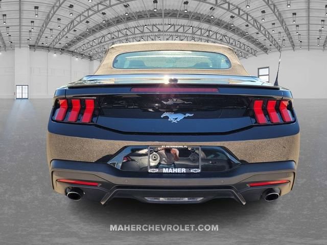 Used 2024 Ford Mustang Premium image 6