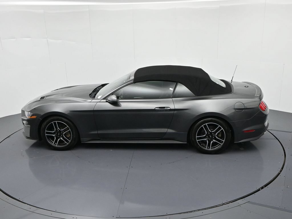 Certified 2019 Ford Mustang Premium RWD image 18
