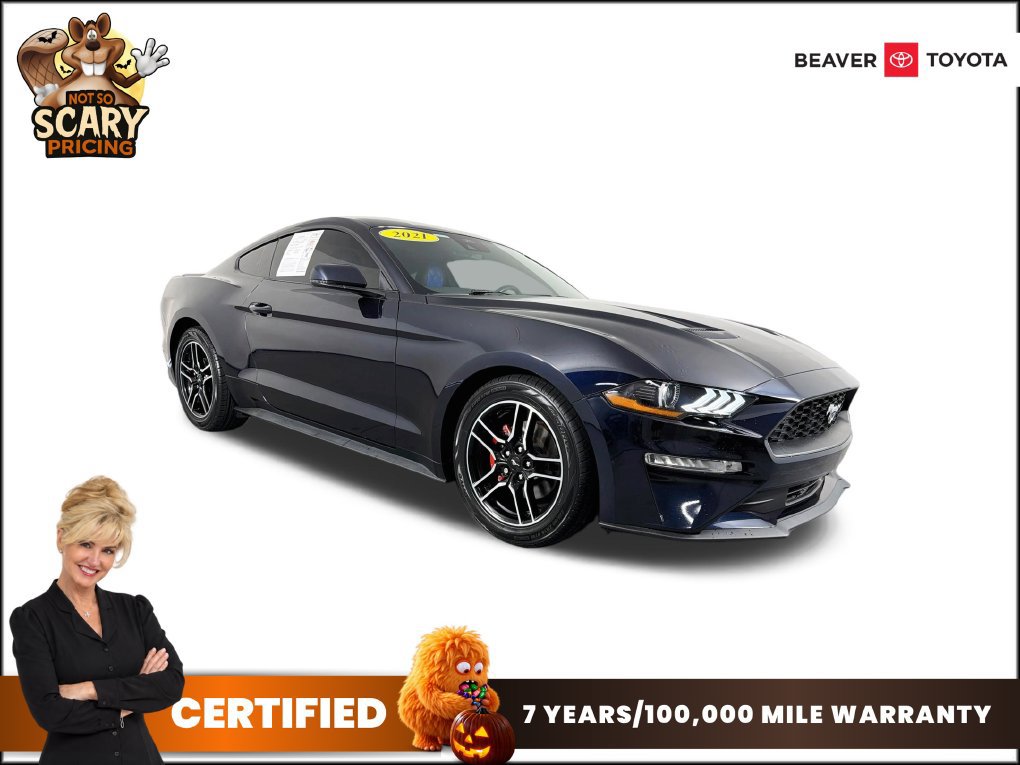 Used 2021 Ford Mustang Premium w/ Equipment Group 201A RWD image 1