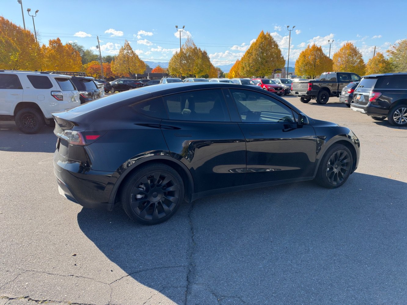 Used 2023 Tesla Model Y Long Range AWD/4WD image 5