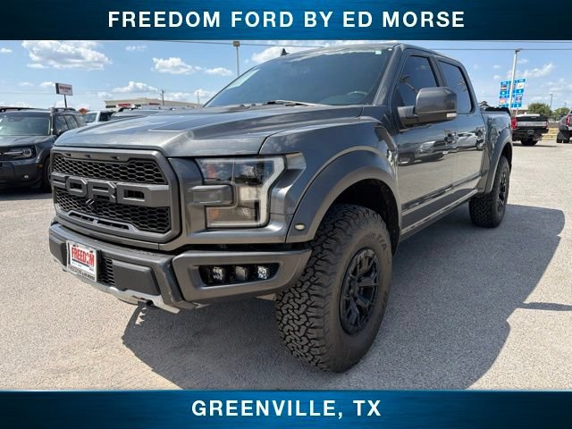 Used 2019 Ford F150 Raptor w/ Equipment Group 802A Luxury AWD/4WD image 1