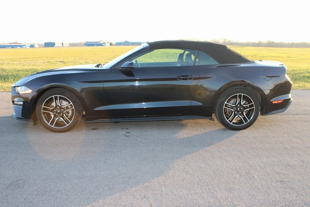 Used 2023 Ford Mustang Premium image 4