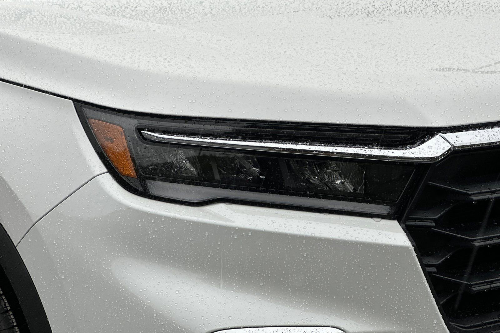 New 2025 Honda Pilot EX-L image 30