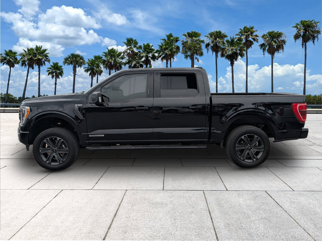 Used 2023 Ford F150 XLT w/ Equipment Group 302A High AWD/4WD image 4