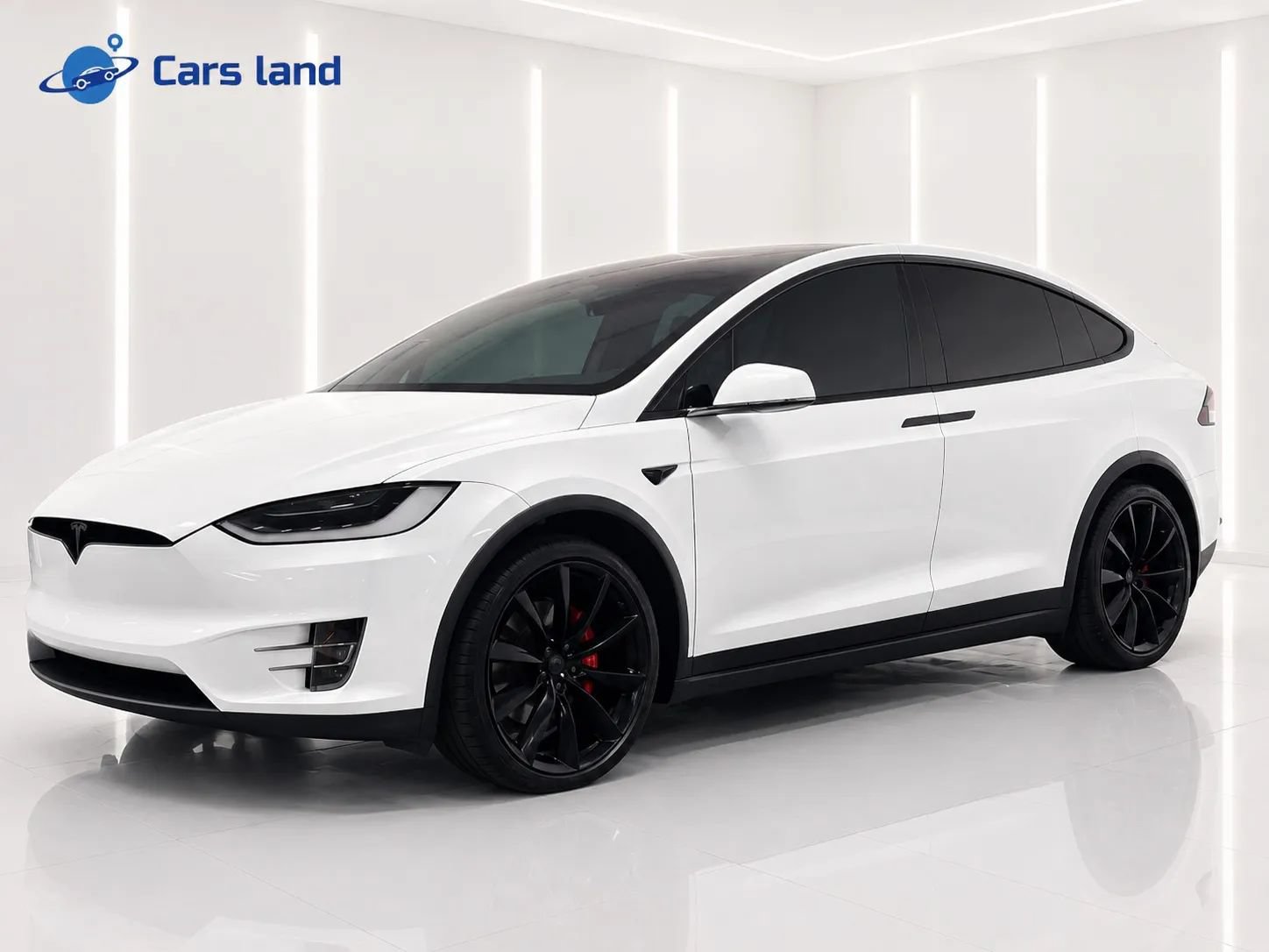 Used 2019 Tesla Model X Performance AWD/4WD image 6