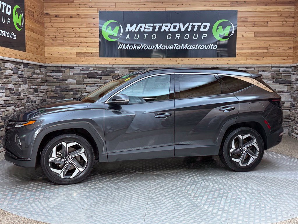 Certified 2023 Hyundai Tucson Limited w/ Cargo Package AWD/4WD image 16