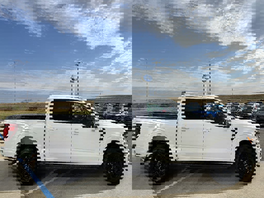 Used 2025 Ford F150 XLT w/ Equipment Group 302A MID image 7