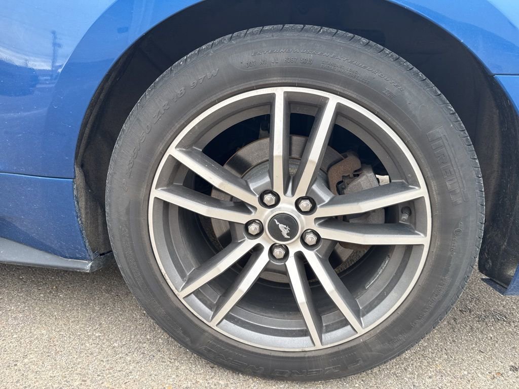 Used 2017 Ford Mustang EcoBoost image 9