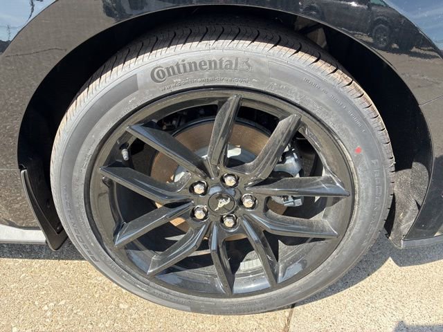 New 2026 Ford Mustang Coupe image 12