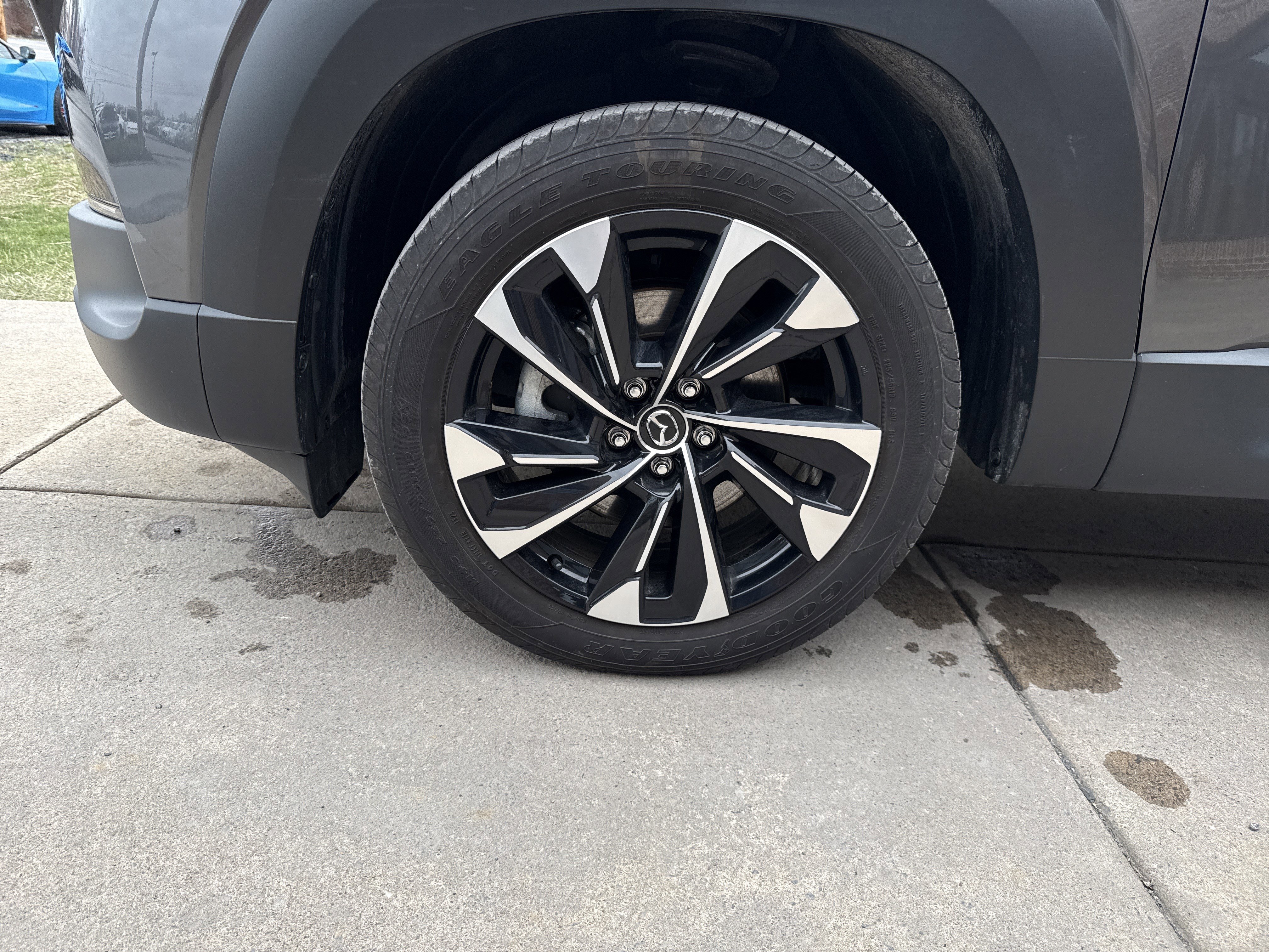 Certified 2025 MAZDA CX-50 2.5 Hybrid w/ Premium Plus Pkg image 11