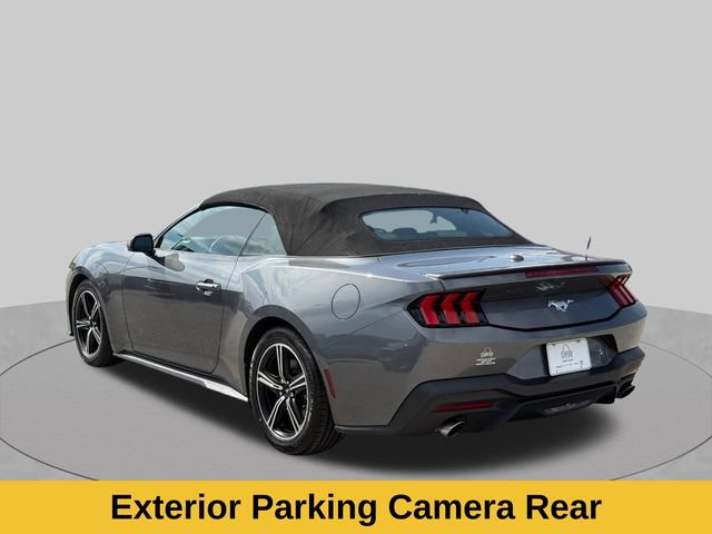 Used 2024 Ford Mustang Premium RWD image 8
