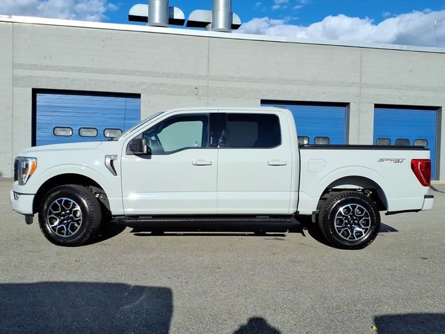 Used 2023 Ford F150 XLT w/ Equipment Group 302A High AWD/4WD image 2