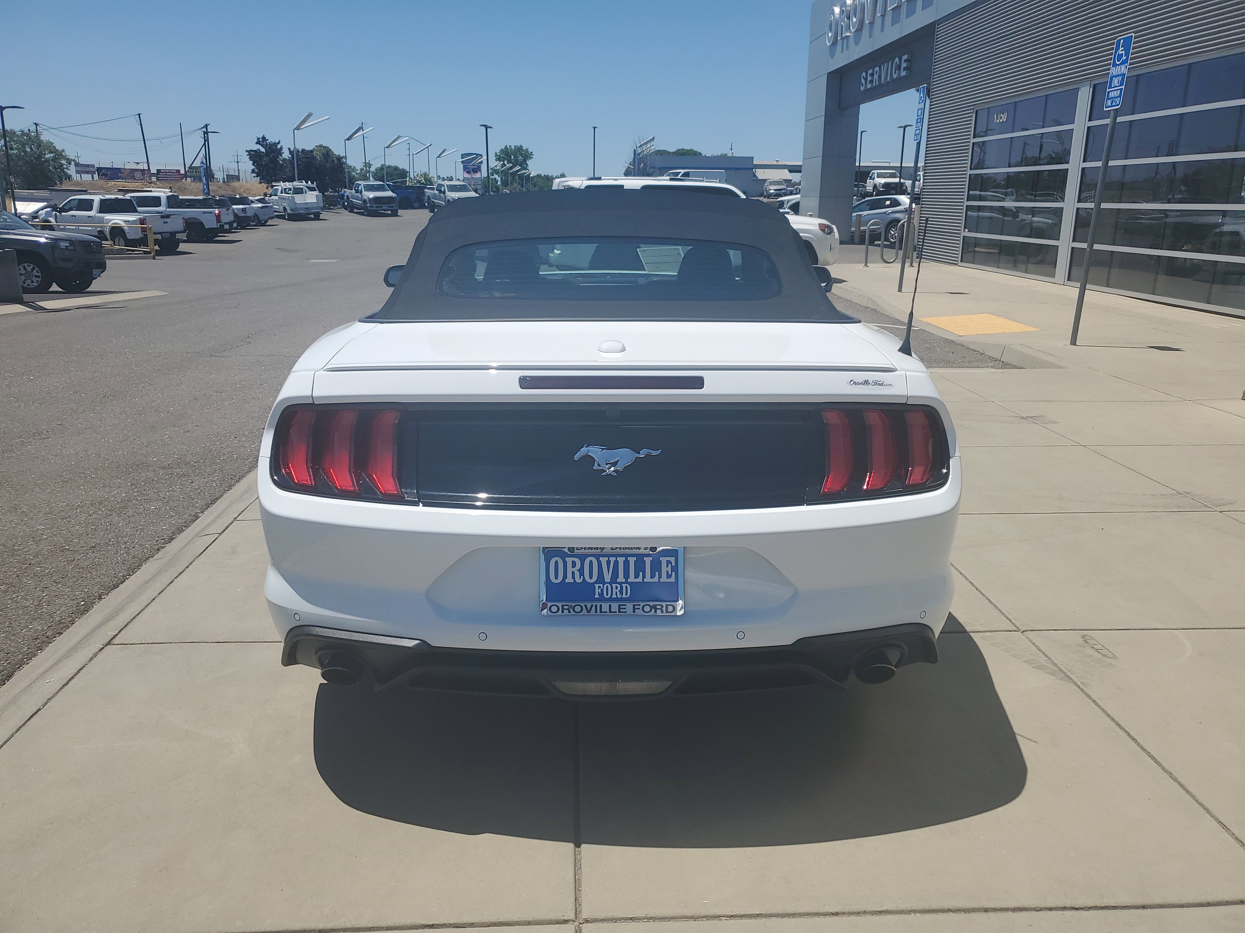 Used 2023 Ford Mustang Premium image 4