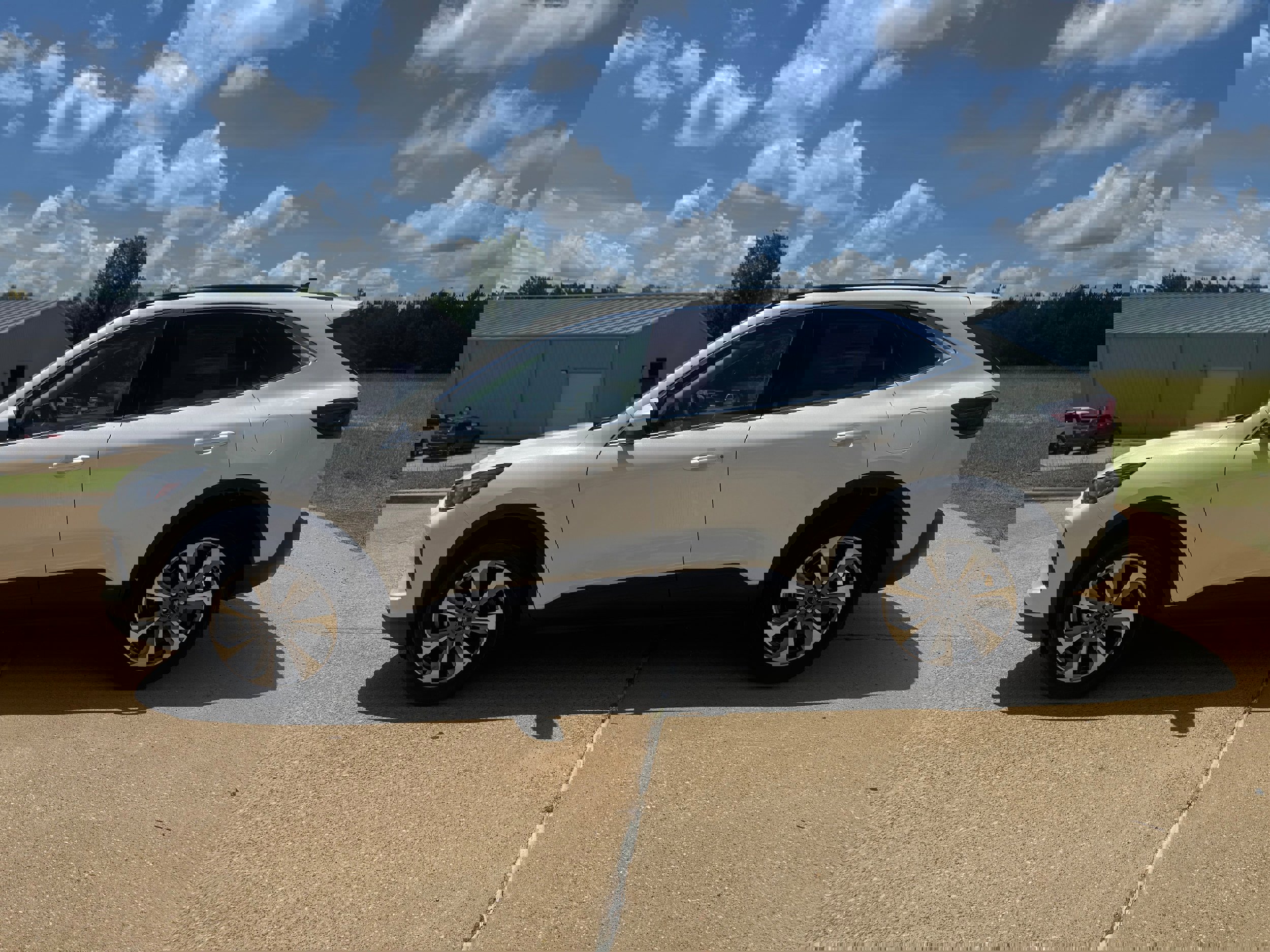 Used 2024 Ford Escape Platinum image 7