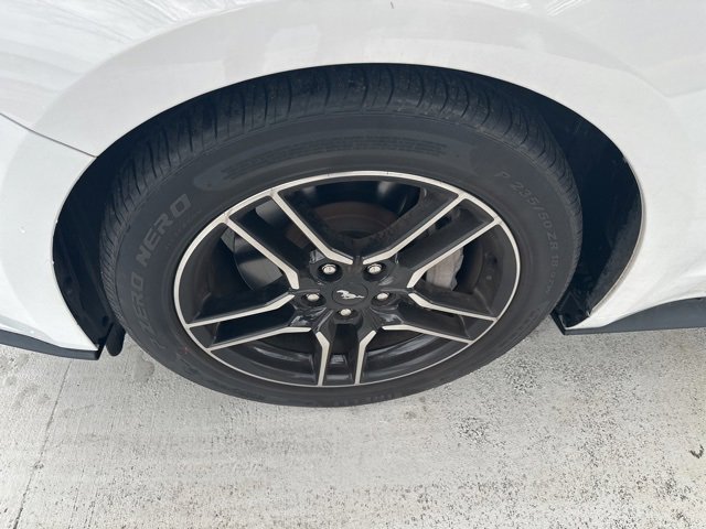 Used 2020 Ford Mustang GT Premium w/ Equipment Group 401A image 6