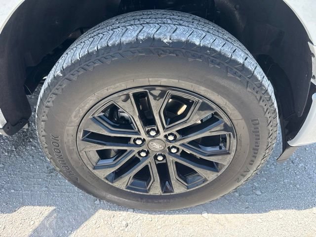 Used 2024 Ford F150 XLT w/ Equipment Group 302A MID AWD/4WD image 12